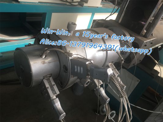 플라스틱 PPR HDPE PVC 물결 모양 관 관을 위한 단 하나 두 배 나사 밀어남 선